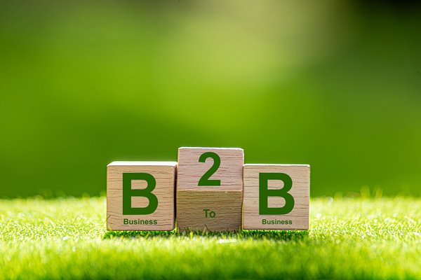 klienci b2b