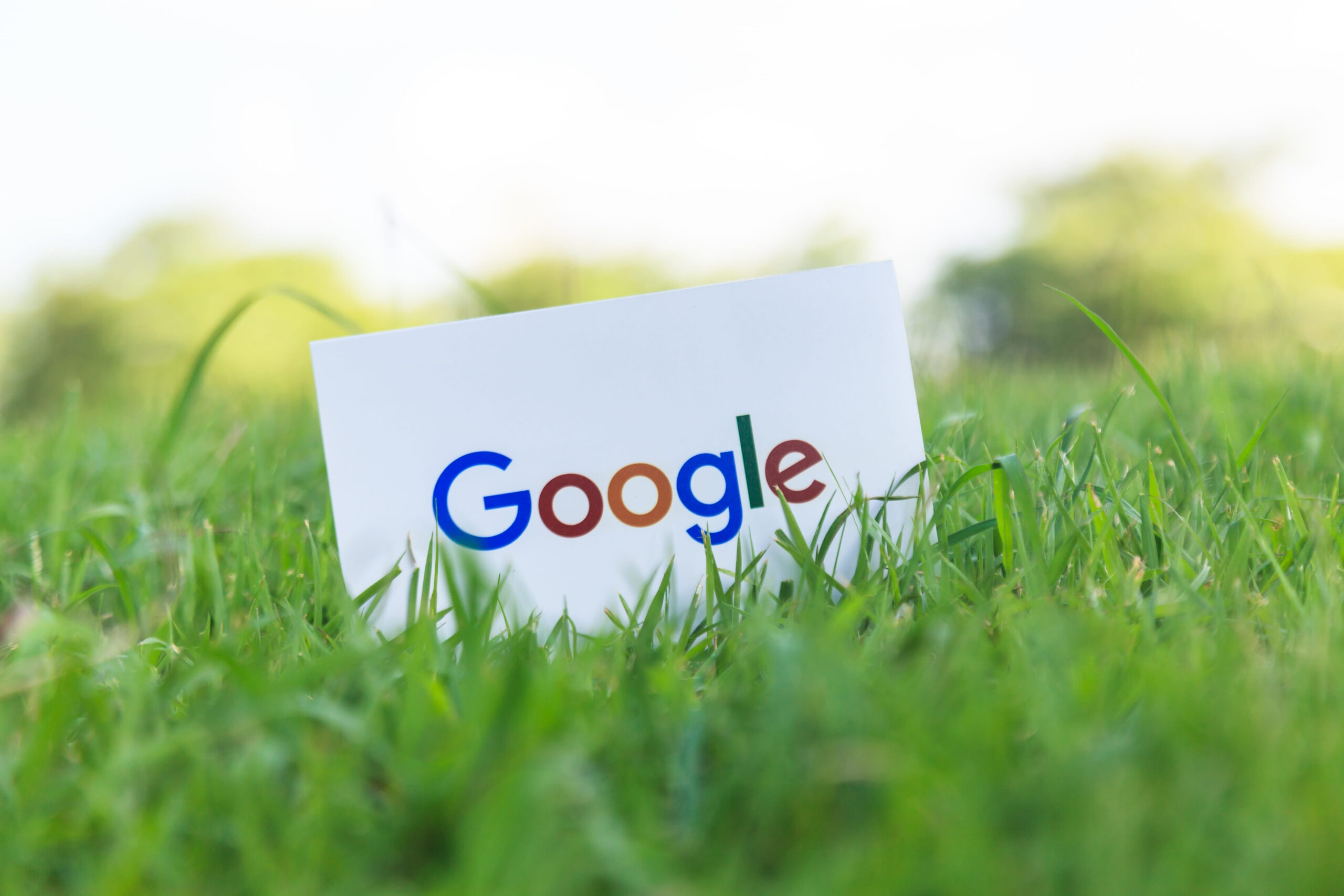 wizytówka google moja firma